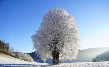 Czy prawo jest Przyszłościowe?