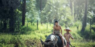 W jakim wieku rolnik może przejść na wcześniejszą emeryturę?