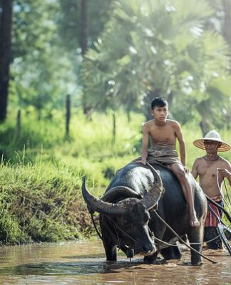 W jakim wieku rolnik może przejść na wcześniejszą emeryturę? W jakim wieku rolnik może przejść na wcześniejszą emeryturę?