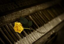 Jakie są organy administracji?