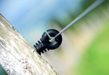 Ile Polaków opuściło Polskę? Ile Polaków opuściło Polskę?