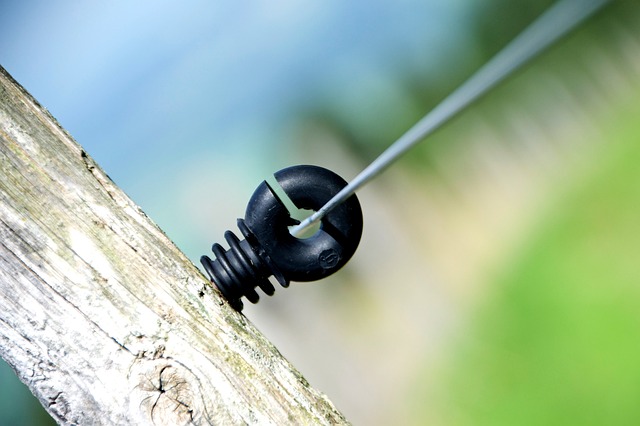 Ile Polaków opuściło Polskę? Ile Polaków opuściło Polskę?