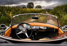 Kim jest kierownik firmy?