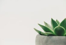 Czy można zarabiać mniej niż minimalne wynagrodzenie?