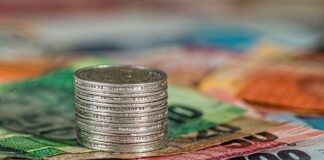 Ile można zarobić na zbiorach w Niemczech? Ile można zarobić na zbiorach w Niemczech?