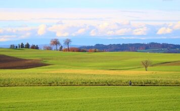 Ile to jest 22.80 brutto ile to netto?