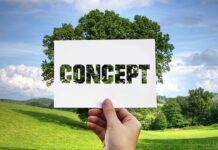 Co to jest metoda synergii? Co to jest metoda synergii?