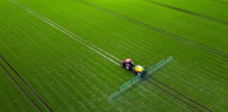 Jak przygotować skuteczną ochronę liścia flagowego