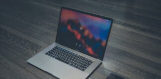 Ile grafik bierze za logo